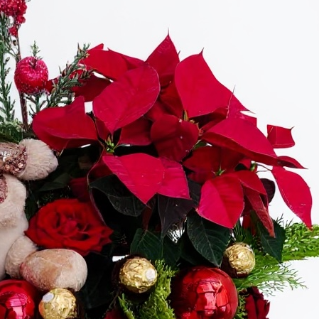 Christmas Flower Box Box luxury flowers DELIVERY TO Cairo AND Egypt