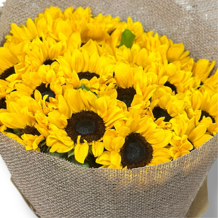 Solara Bliss luxury flowers DELIVERY TO Cairo AND Egypt