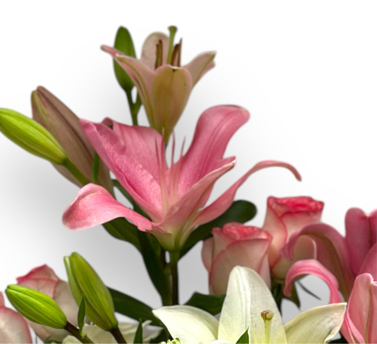 Midnight Magic luxury flowers DELIVERY TO Cairo AND Egypt