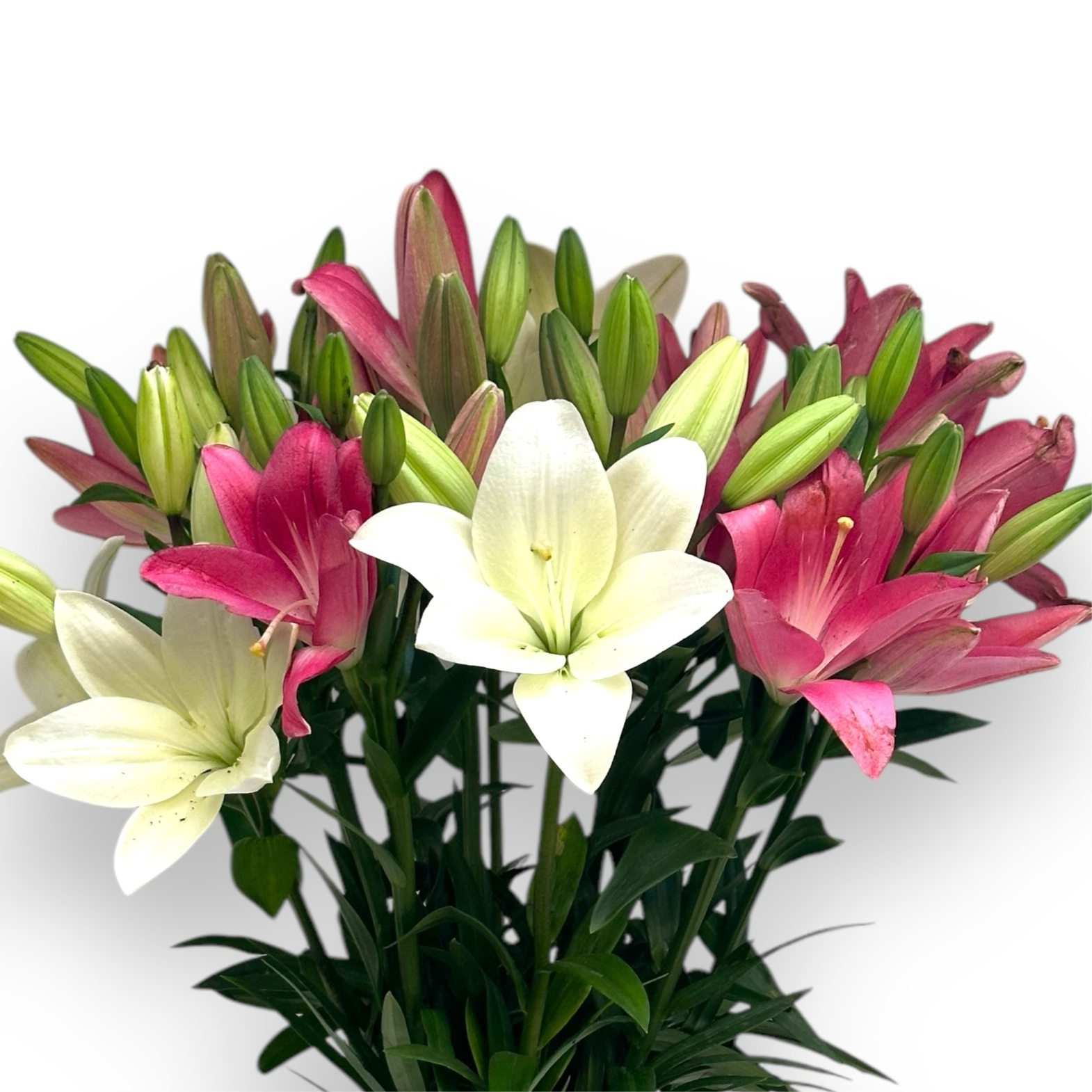 Pastel Paradise luxury flowers DELIVERY TO Cairo AND Egypt