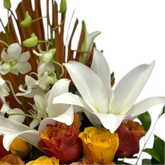 Pure Serenity luxury flowers DELIVERY TO Cairo AND Egypt
