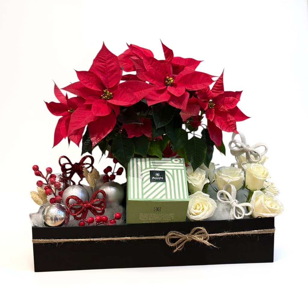 Festive Poinsettia & Gift Box Tray luxury flowers DELIVERY TO Cairo AND Egypt