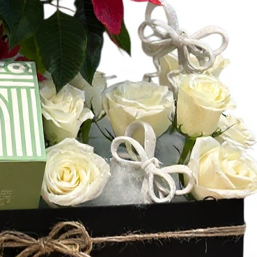 Festive Poinsettia & Gift Box Tray luxury flowers DELIVERY TO Cairo AND Egypt