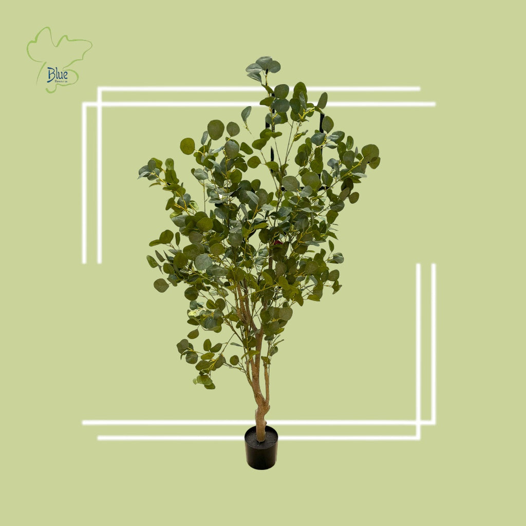 Eucalyptus luxury flowers DELIVERY TO Cairo AND Egypt
