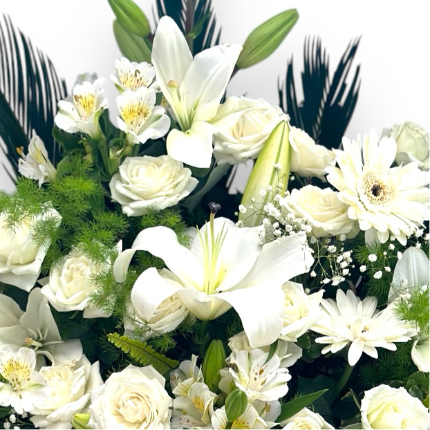 White & White luxury flowers DELIVERY TO Cairo AND Egypt