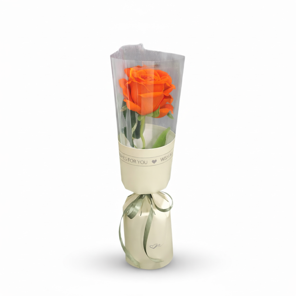 Single Rose Gift Orange luxury flowers DELIVERY TO Cairo AND Egypt