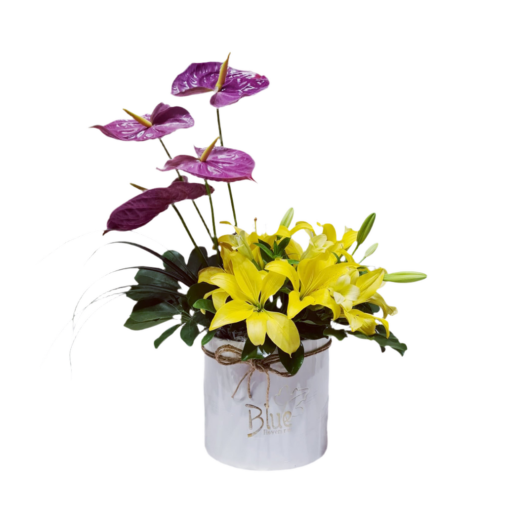 MD2021-31 Box luxury flowers DELIVERY TO Cairo AND Egypt