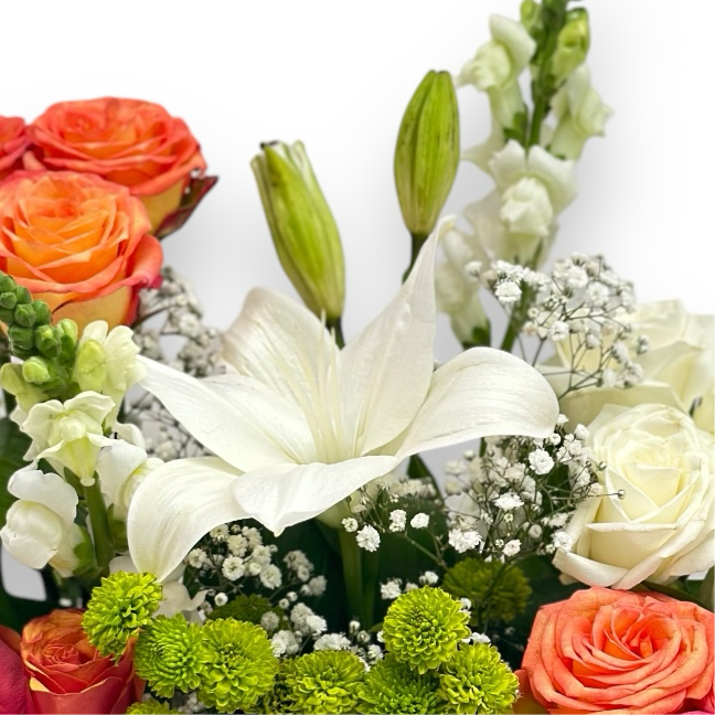 Solar Horizon luxury flowers DELIVERY TO Cairo AND Egypt
