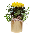 MD2021-21 Box luxury flowers DELIVERY TO Cairo AND Egypt