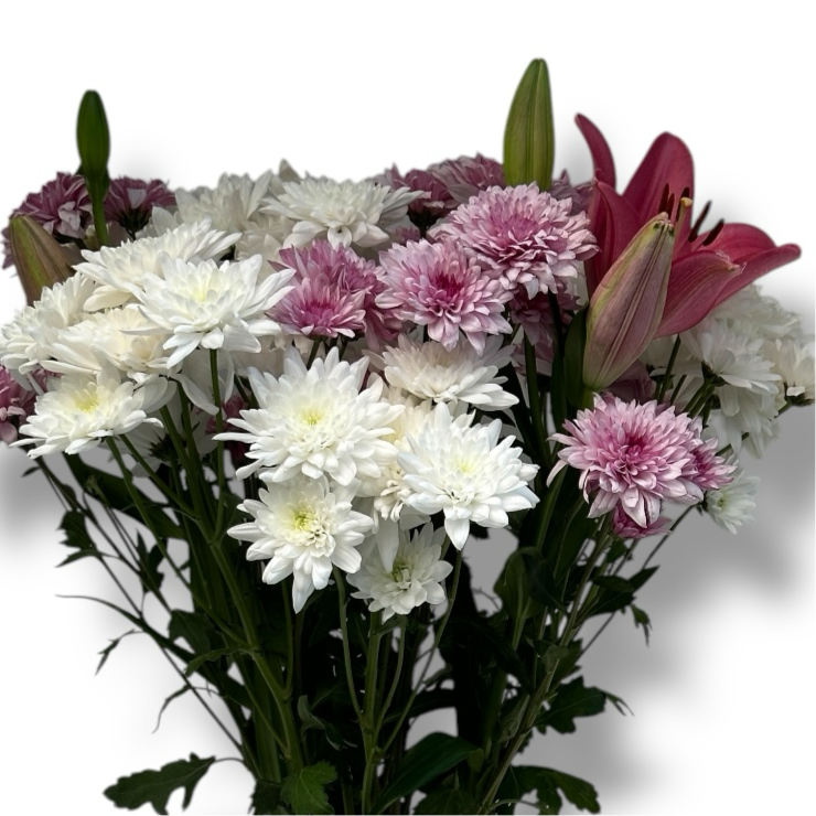 Soft Radiance luxury flowers DELIVERY TO Cairo AND Egypt