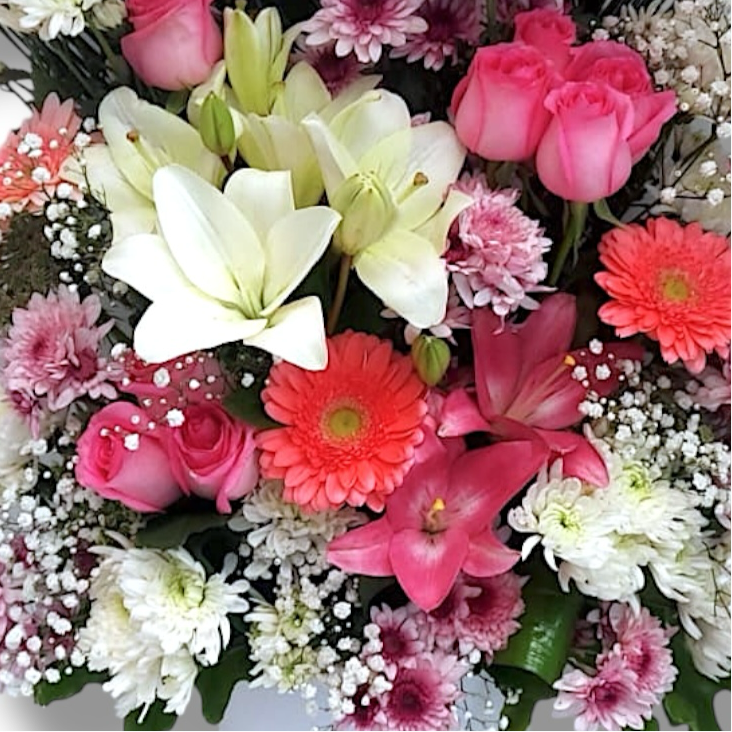 Blooming Bliss luxury flowers DELIVERY TO Cairo AND Egypt