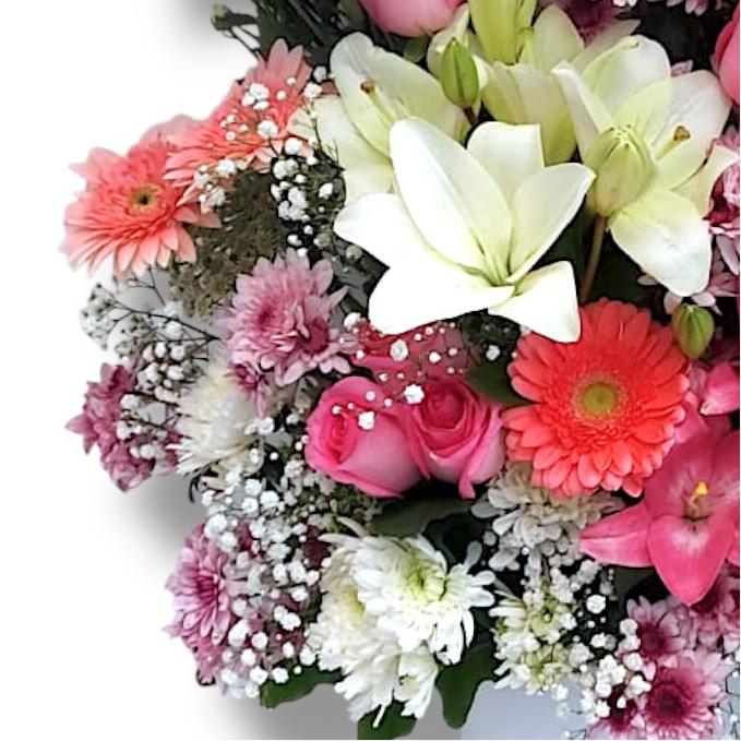 Blooming Bliss luxury flowers DELIVERY TO Cairo AND Egypt