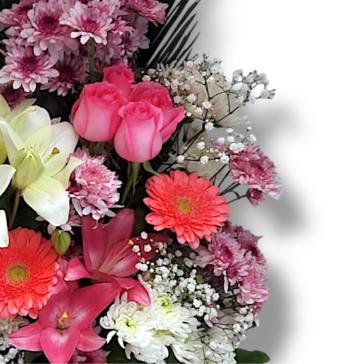 Blooming Bliss luxury flowers DELIVERY TO Cairo AND Egypt