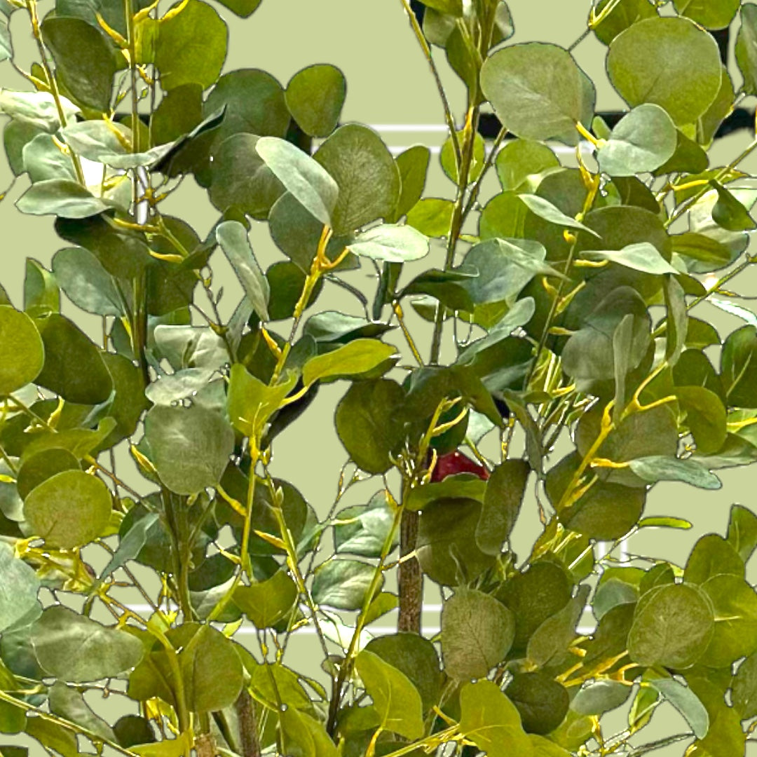 Eucalyptus luxury flowers DELIVERY TO Cairo AND Egypt