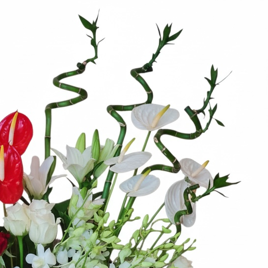 Scarlet Symphony Arrangement luxury flowers DELIVERY TO Cairo AND Egypt