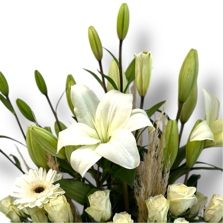 Ivory Dreams luxury flowers DELIVERY TO Cairo AND Egypt