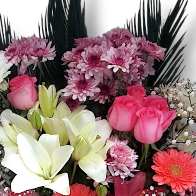Blooming Bliss luxury flowers DELIVERY TO Cairo AND Egypt