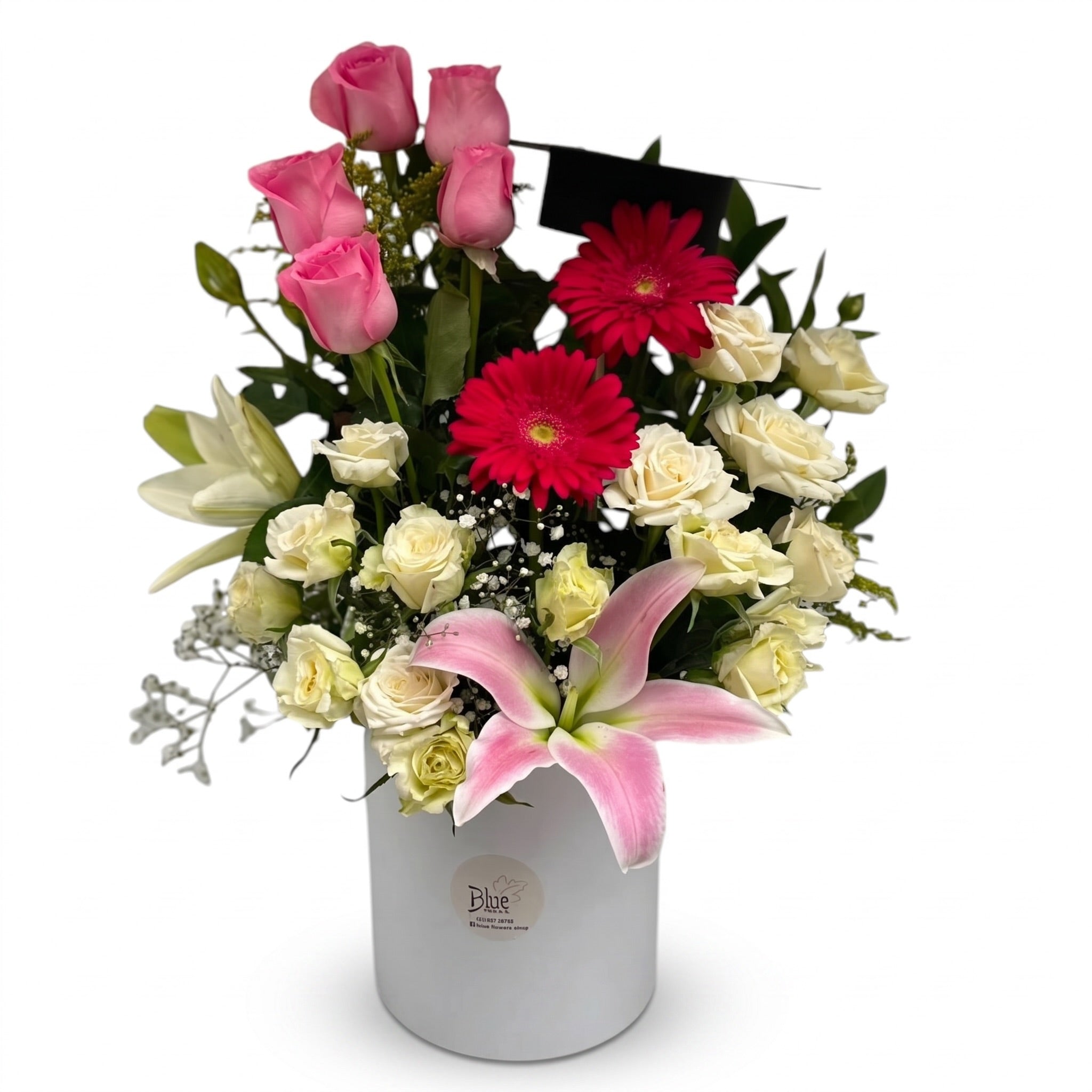 Blush Harmony Vase