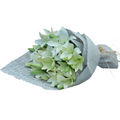 Humorous luxury flowers DELIVERY TO Cairo AND Egypt