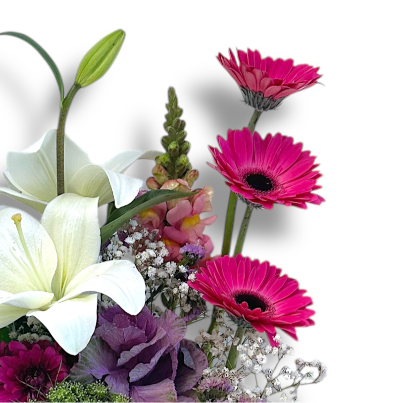 Enchanted Charm luxury flowers DELIVERY TO Cairo AND Egypt
