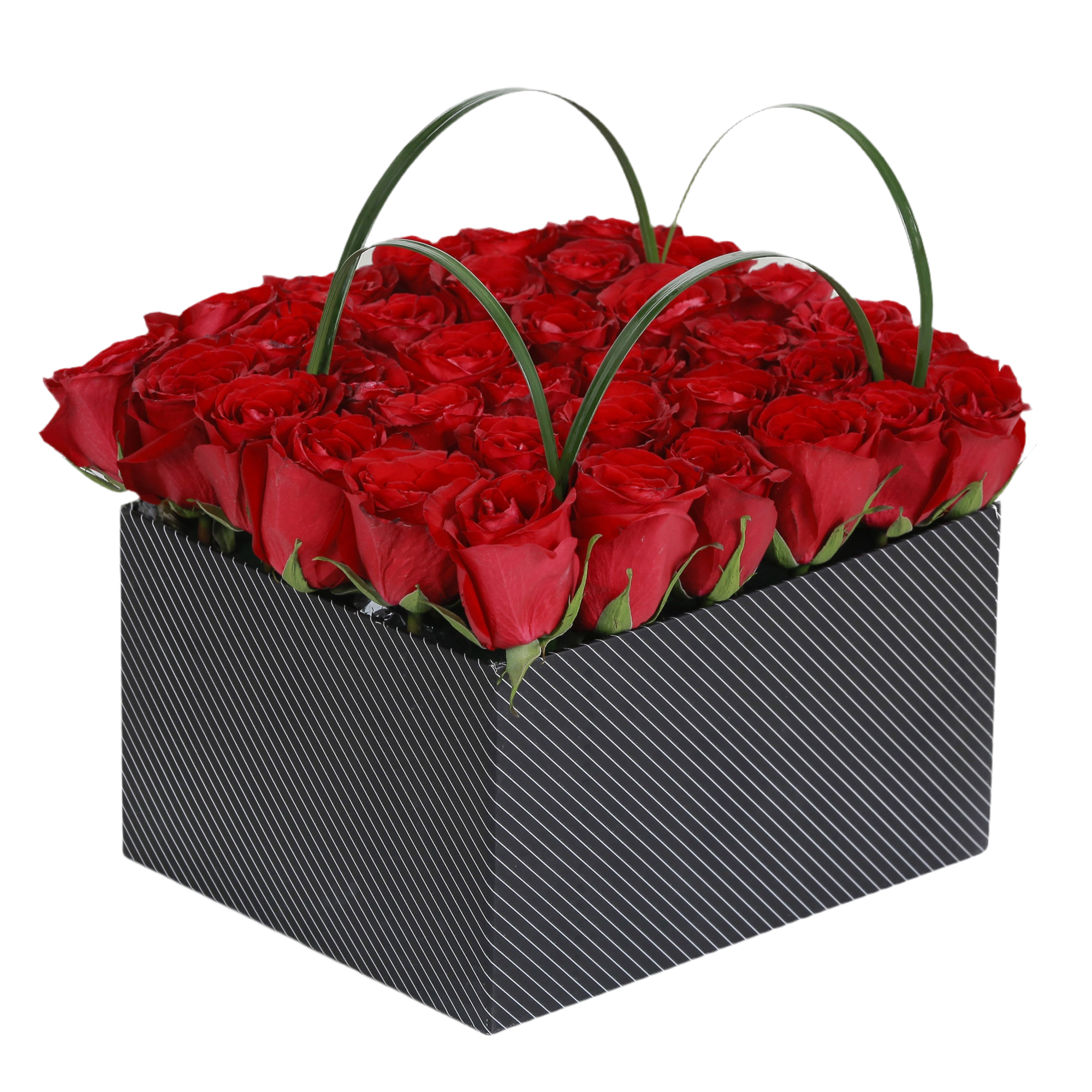 Beaming Beauty Box luxury flowers DELIVERY TO Cairo AND Egypt