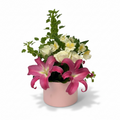Soft Love Blossom Box luxury flowers DELIVERY TO Cairo AND Egypt