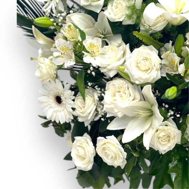White & White luxury flowers DELIVERY TO Cairo AND Egypt