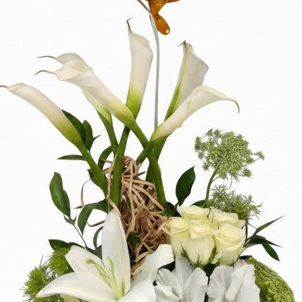 Healing Grace luxury flowers DELIVERY TO Cairo AND Egypt