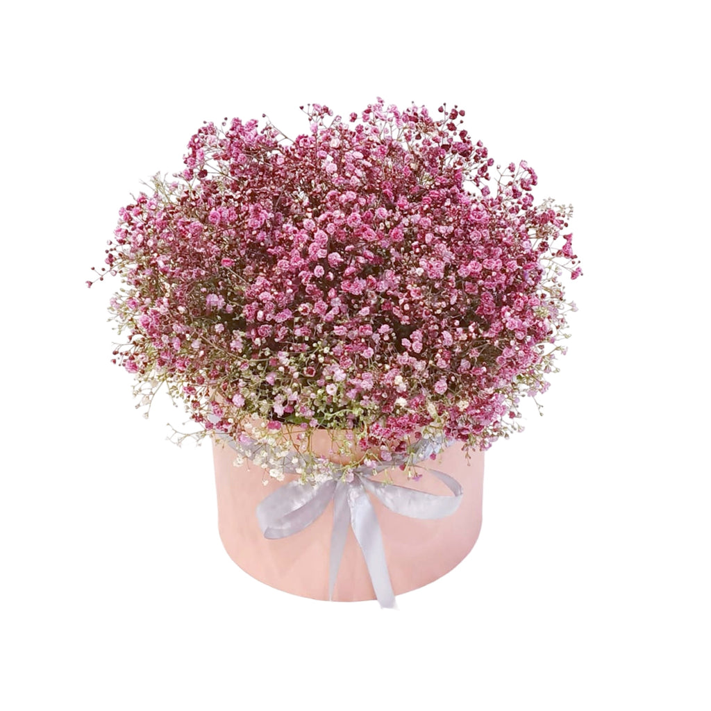 Blush Cloud Reverie Box luxury flowers DELIVERY TO Cairo AND Egypt