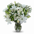 Lumière Blanche luxury flowers DELIVERY TO Cairo AND Egypt