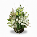 Pure Serenity Bloom luxury flowers DELIVERY TO Cairo AND Egypt