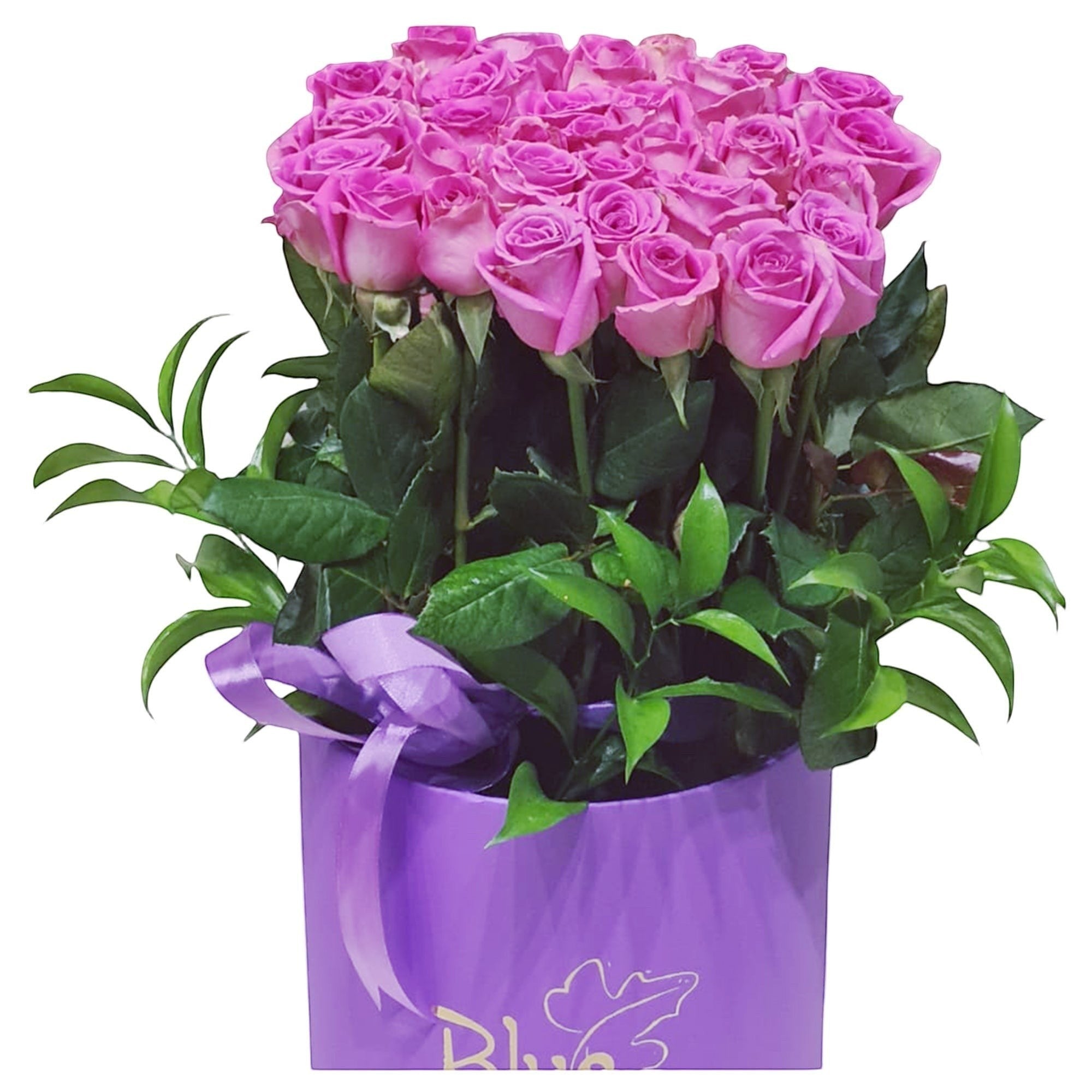 Velvet Bloom Cylinder Box luxury flowers DELIVERY TO Cairo AND Egypt
