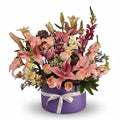 Rosé Velvet Garden luxury flowers DELIVERY TO Cairo AND Egypt