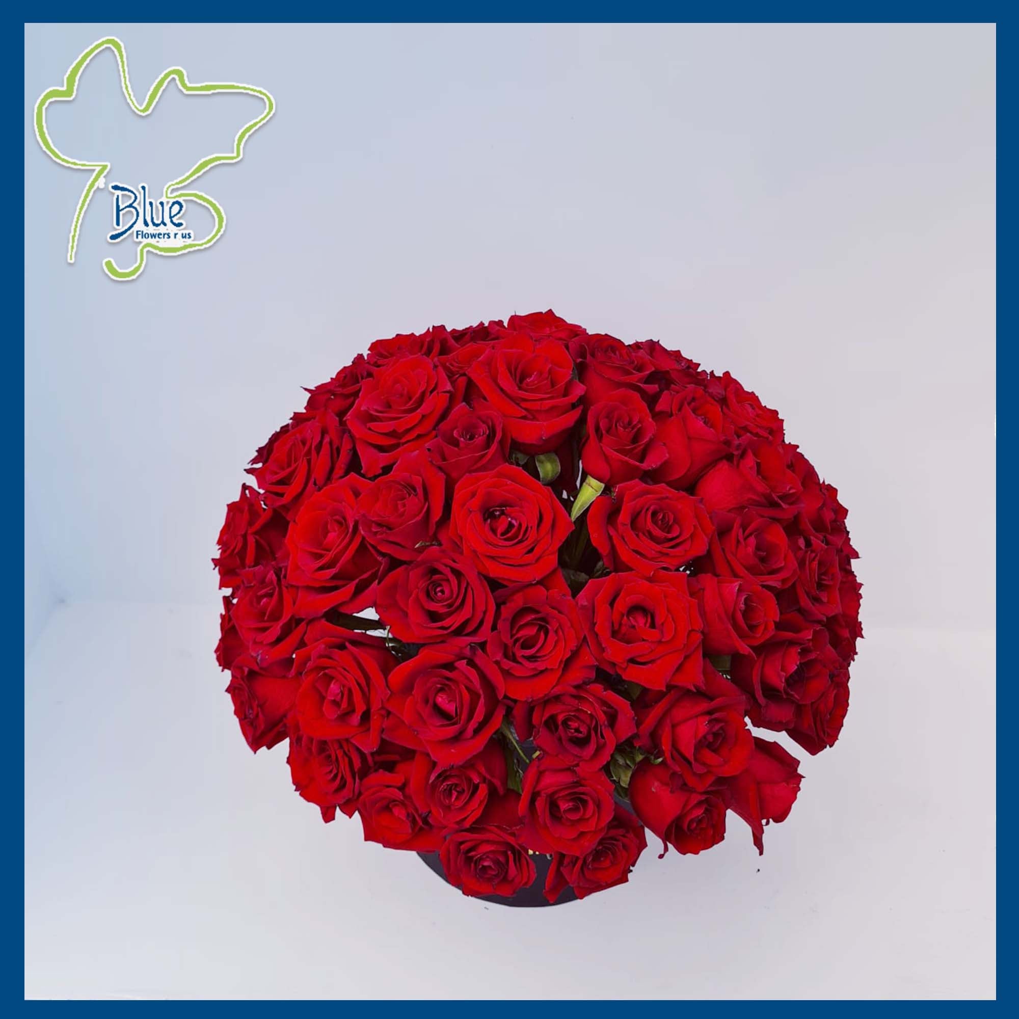 MAR22-034 Fresh Cut Flowers luxury flowers DELIVERY TO Cairo AND Egypt